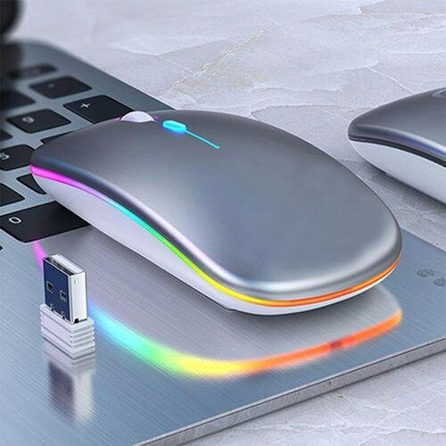 Souris sans fil