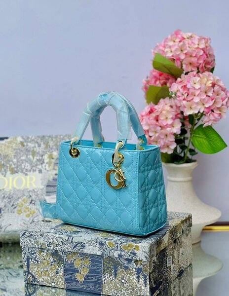 Ladies hand bag