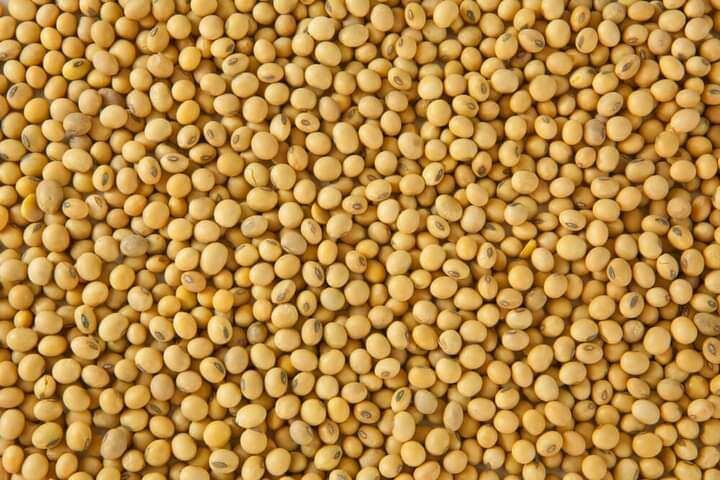 Soyabeans