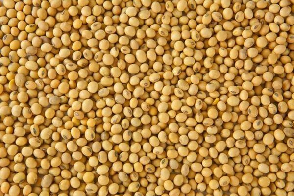 Soyabeans