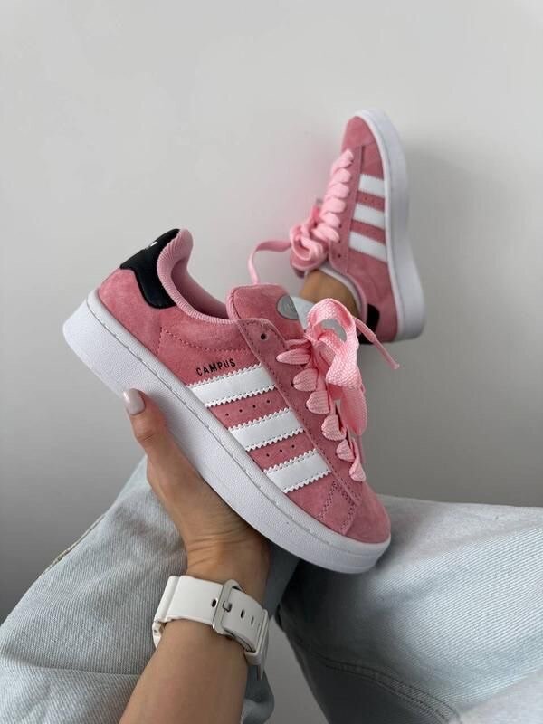 Adidas campus authentique avec