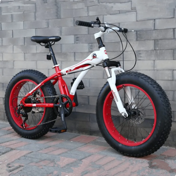 VTT Fat Bike