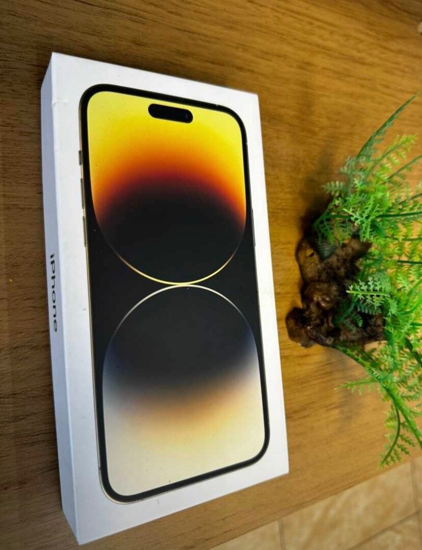 iPhone 14 Pro