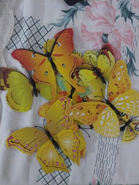 Papillon décoratif