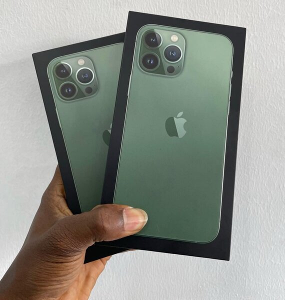 iPhone 13 Pro Max