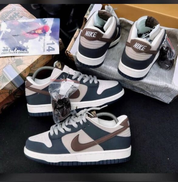Nike Dunk Low