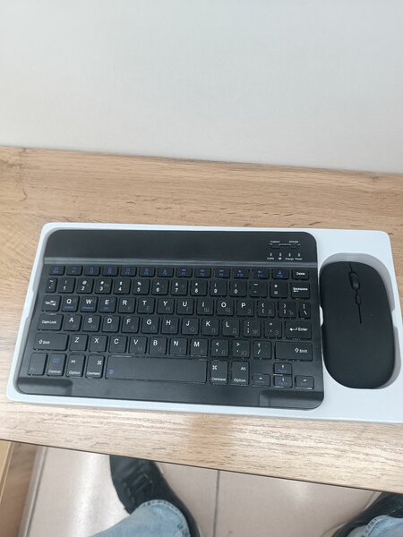 MOUSE