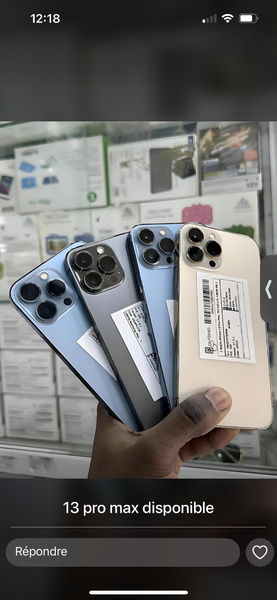 iPhone 13 Pro Max