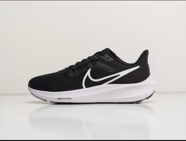 Air zoom pegasus