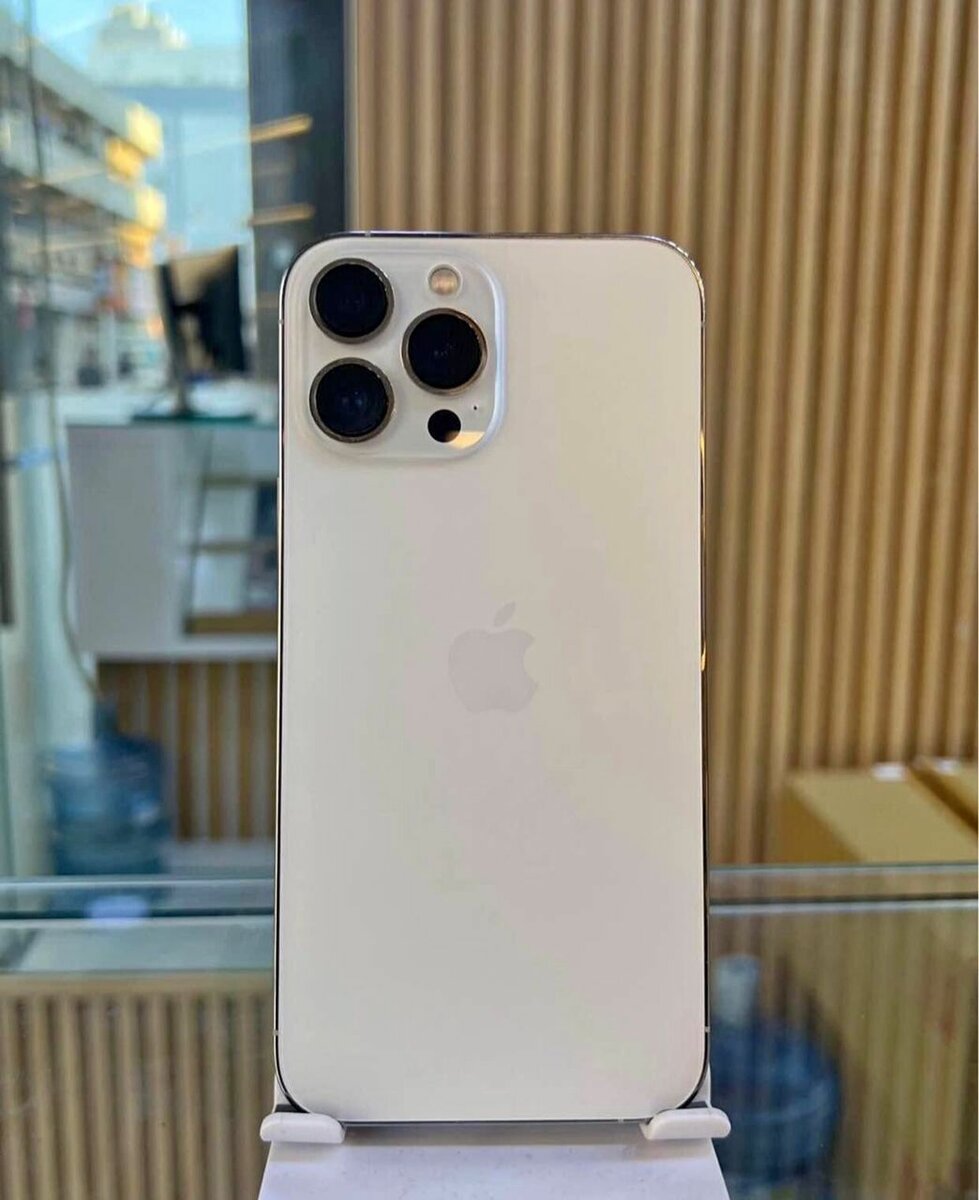 iPhone 13 pro max