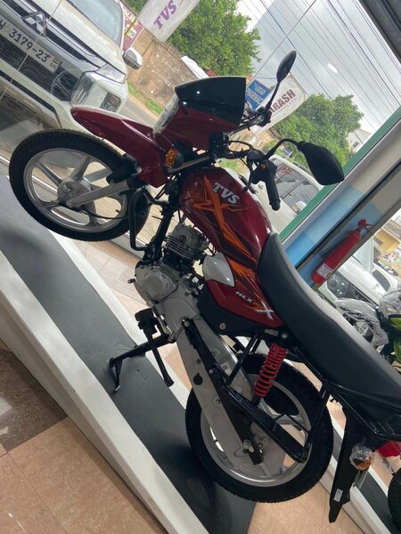 JUNGLE BIKES