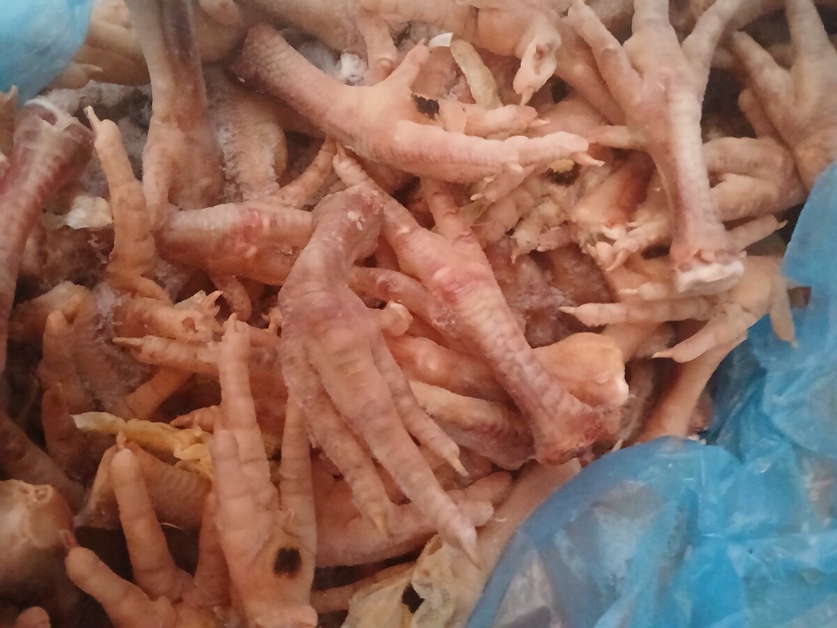Patte de poulet