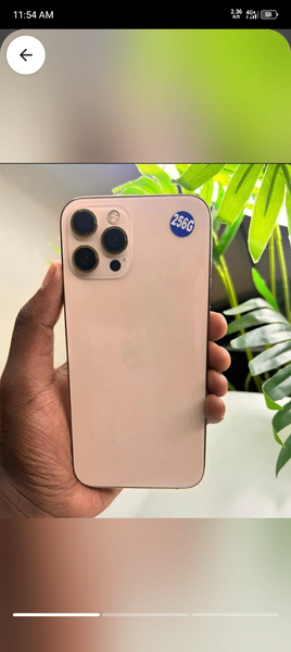 Iphone 12promax