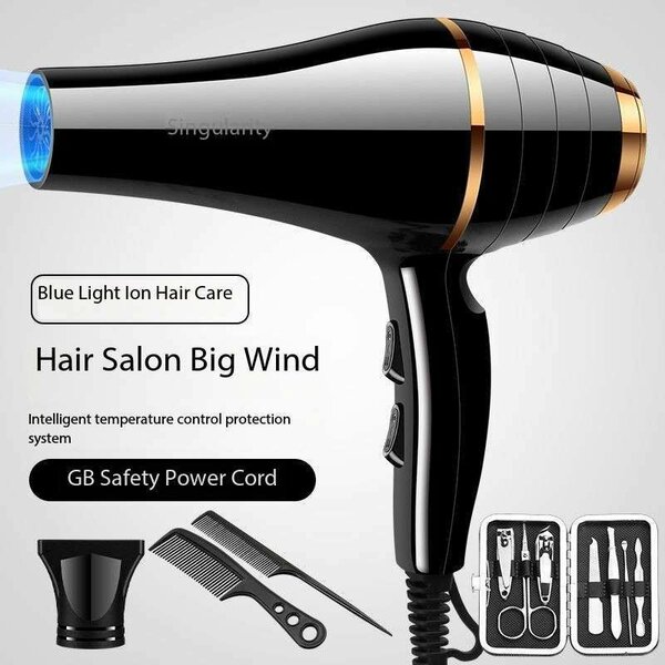 Salon High-Speed Blow Dryer
