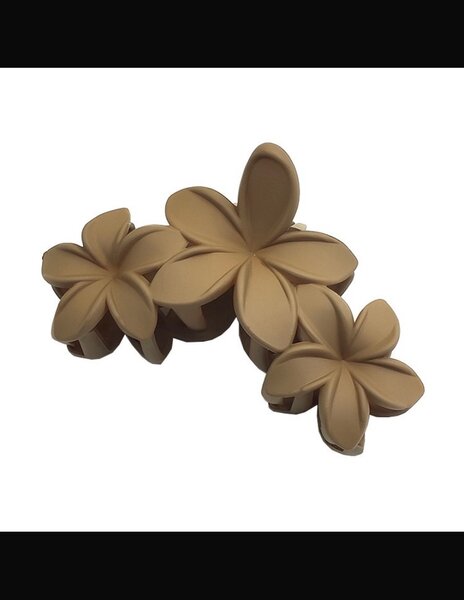 Clips