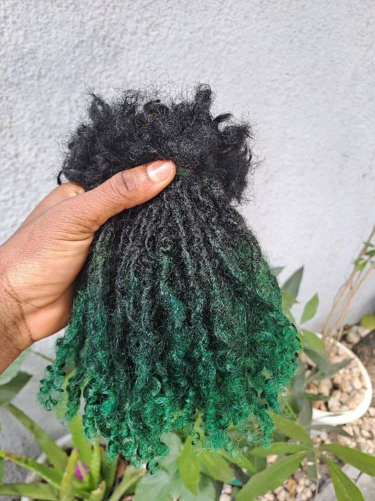 DREADLOCKS ( skinylocks)