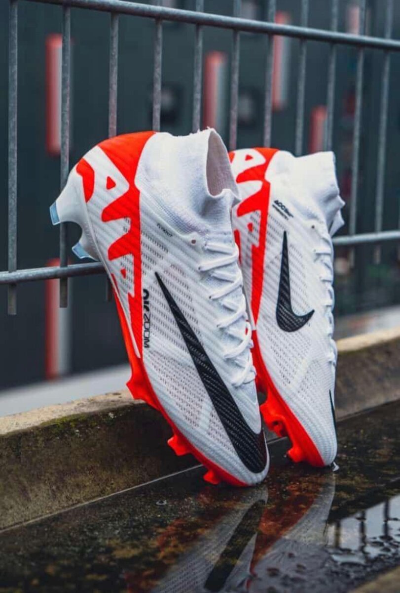 PAIRE DE MAGRE