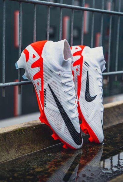 PAIRE DE MAGRE
