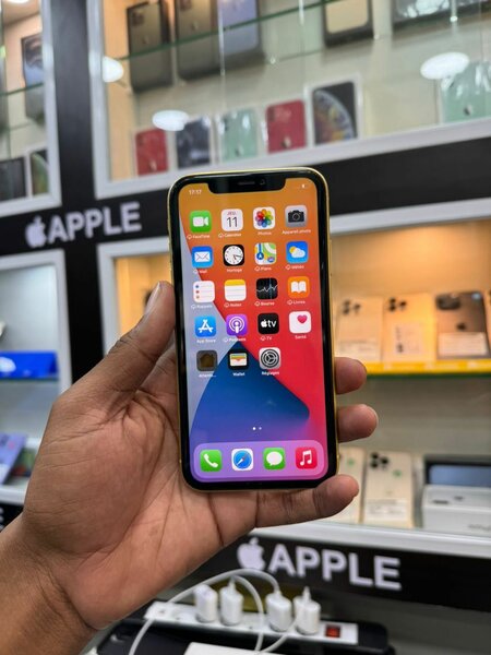 iPhone 11