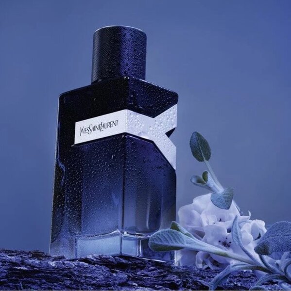 Ysl Y edp