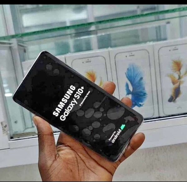 Samsung Galaxy S10+ Blanc