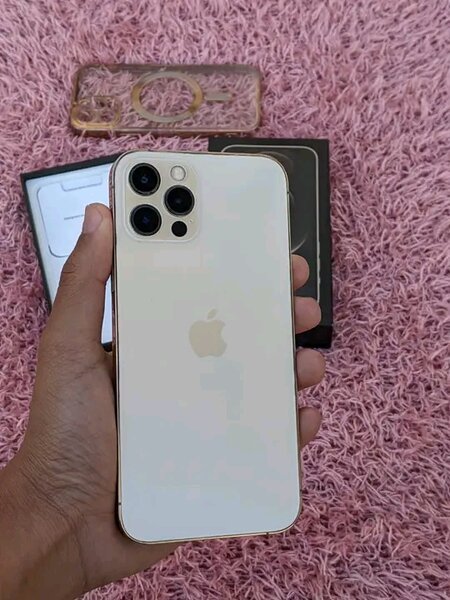 iPhone 12 Pro Max Doré