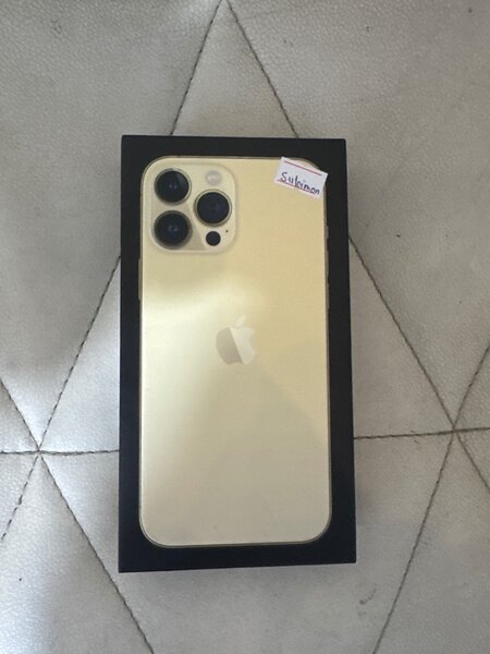 13 pro max