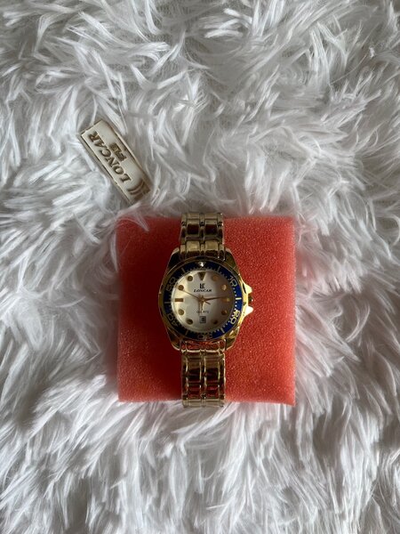 Montre Luxueuse Dorée Homme