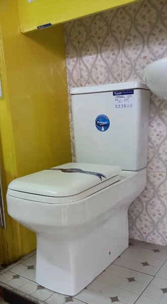 Toilet seat