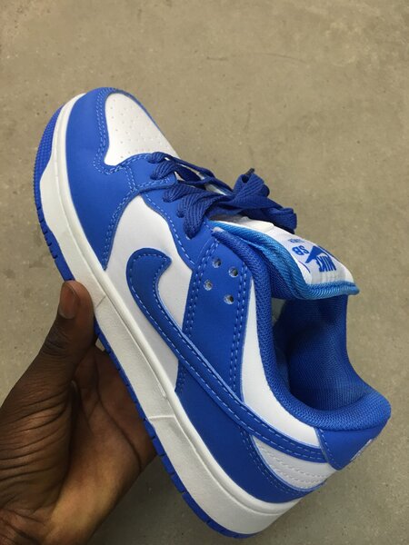 Nike sb