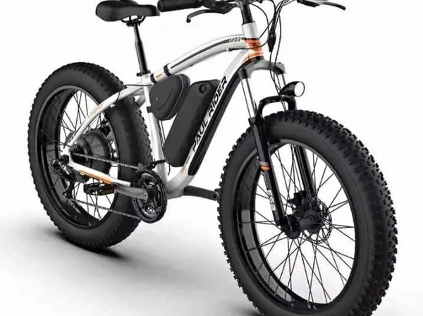 Vélo adulte et enfant disponib