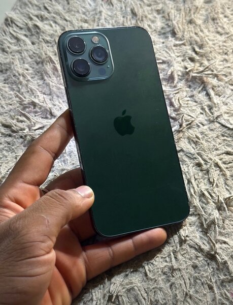 iPhone 13 Pro Max Vert Forêt