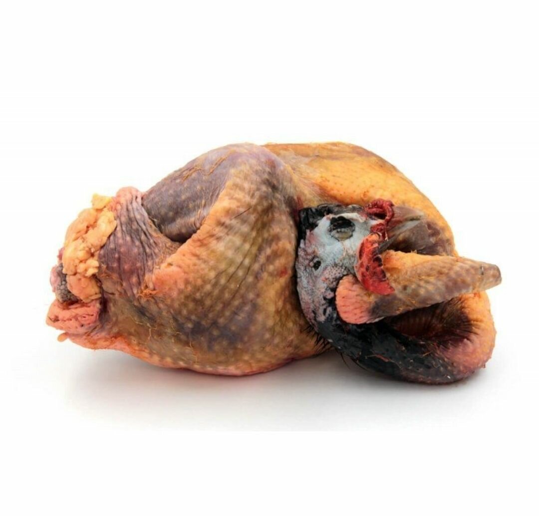 Pintade hybride 1.5kg