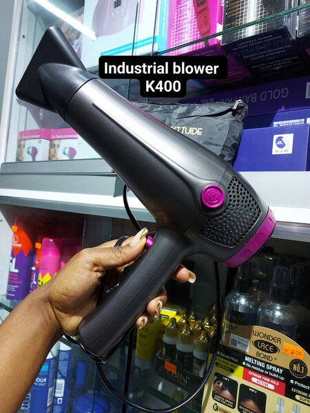 Hair blower
