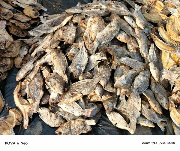 Dry Closed bream's