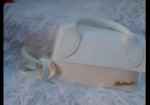 lady bag