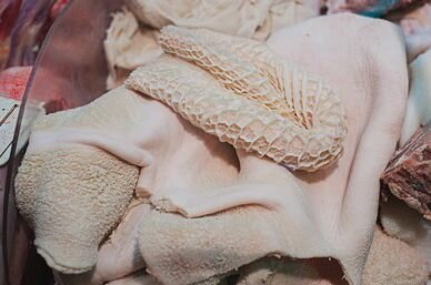 Sinos / Towel