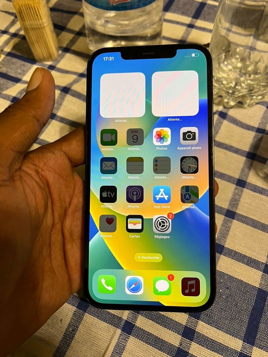 iPhone 12 Pro Max