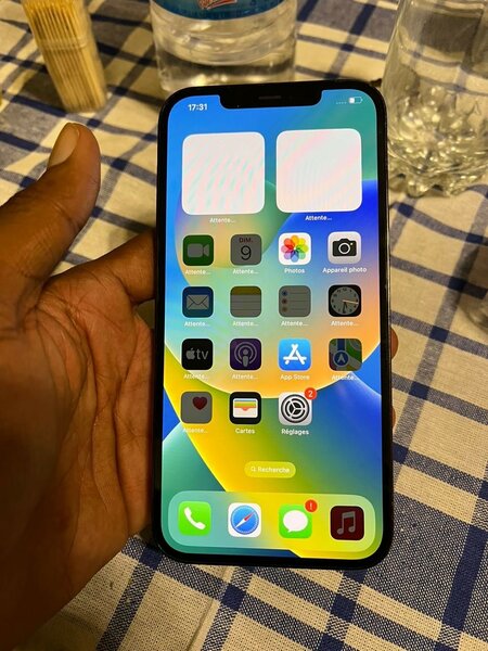 iPhone 12 Pro Max
