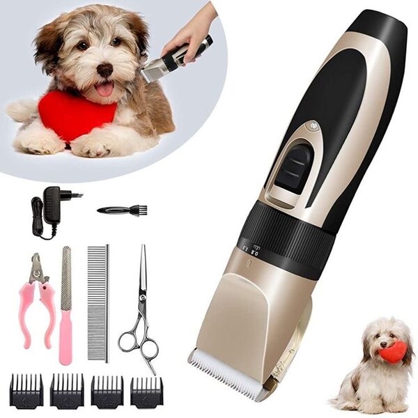 Tondeuse Électrique pour Animaux