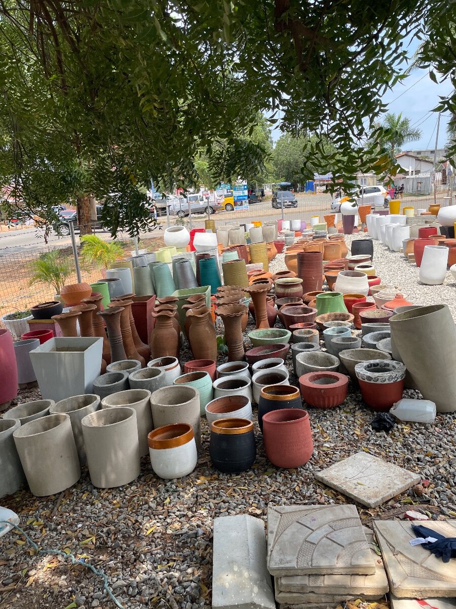 Flowering Pots