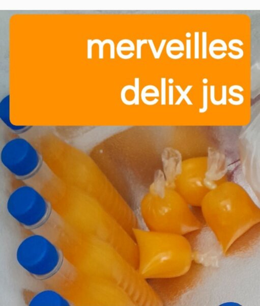 Delix degue