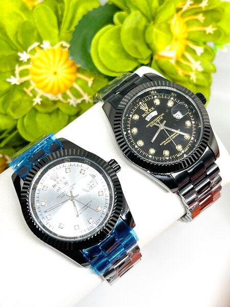 Stainless watches