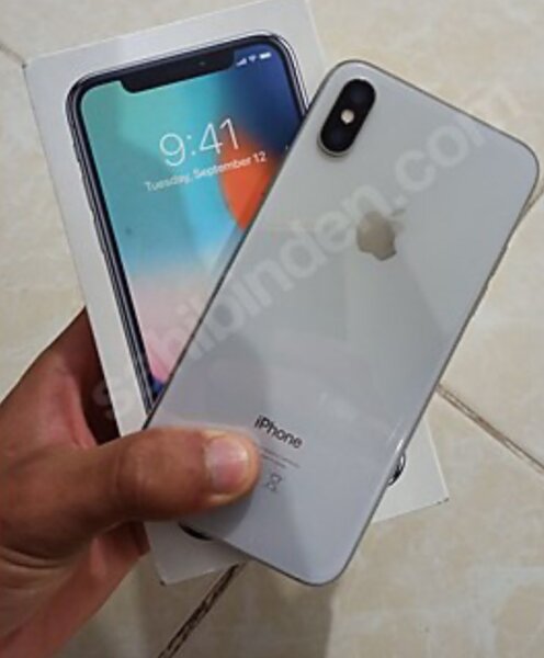 iPhone X
