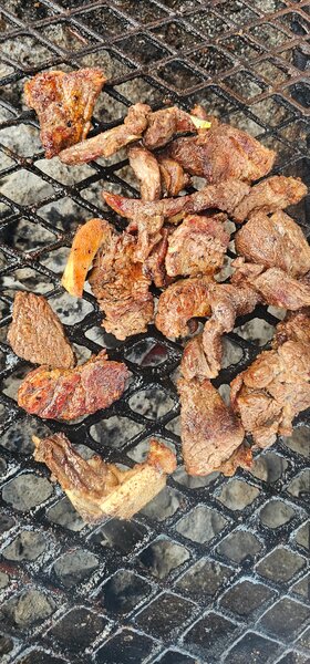 Roasted t bone