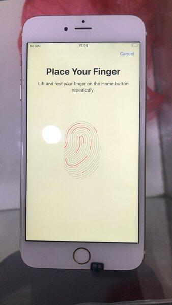 iPhone 6 Plus