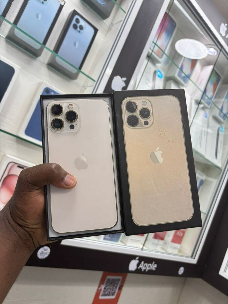 iPhone 13 Pro Max