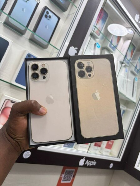 iPhone 13 Pro Max