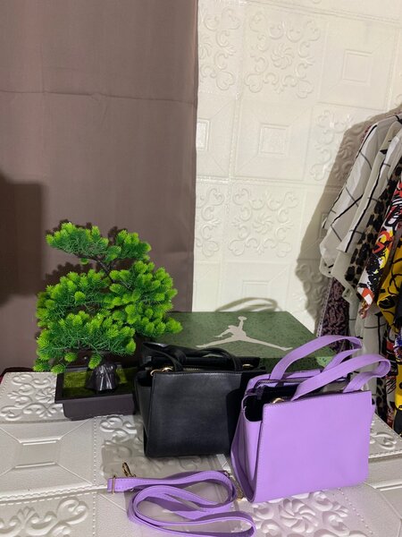 Ladies handheld bag