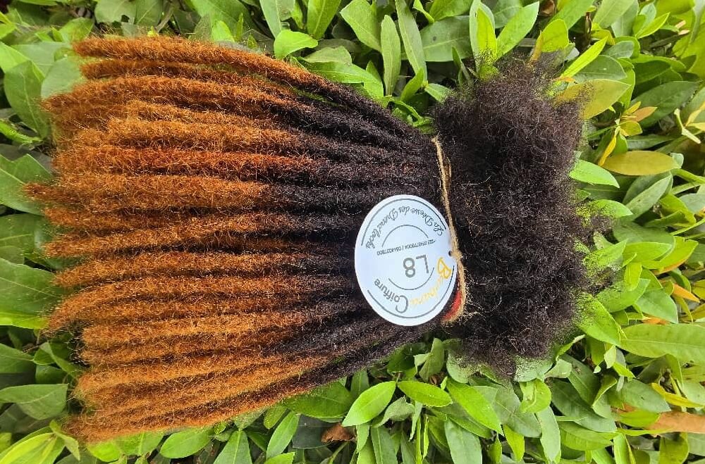 Dreads locks